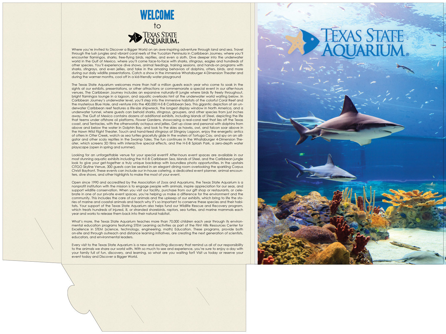 Stationery Design by Kristina Andonoff for this project | Design #17176273