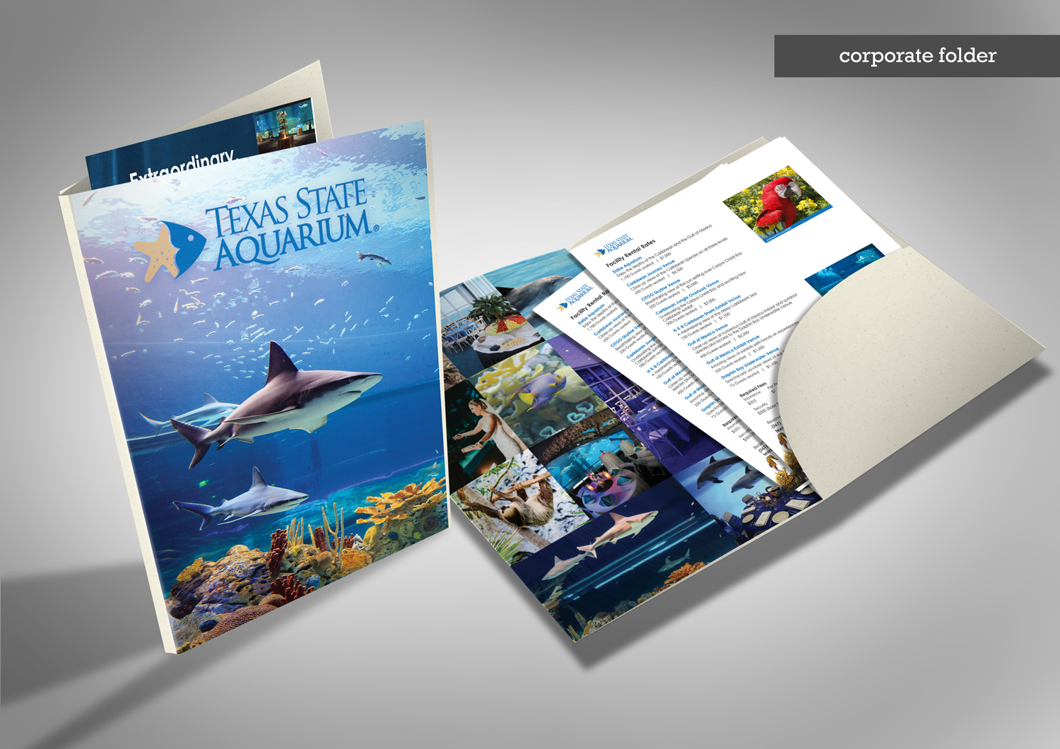Stationery Design by Kristina Andonoff for this project | Design #17176512