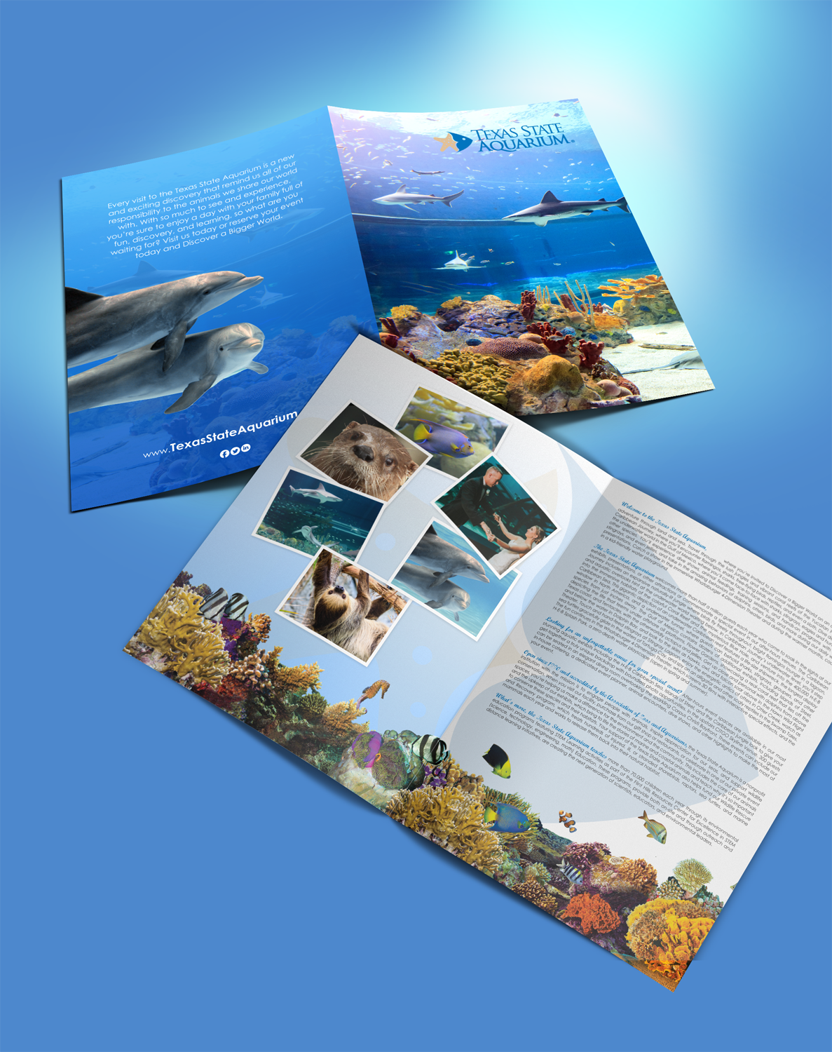 Stationery Design by chandrayaan.creative for this project | Design #17173041