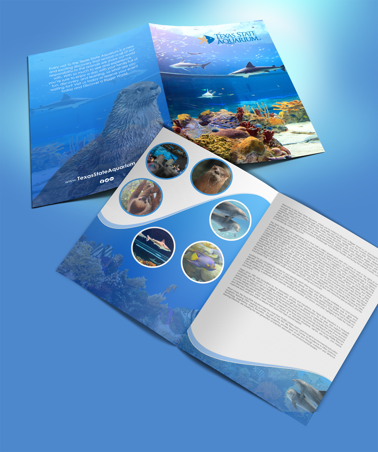 Stationery Design by chandrayaan.creative for this project | Design #17175523