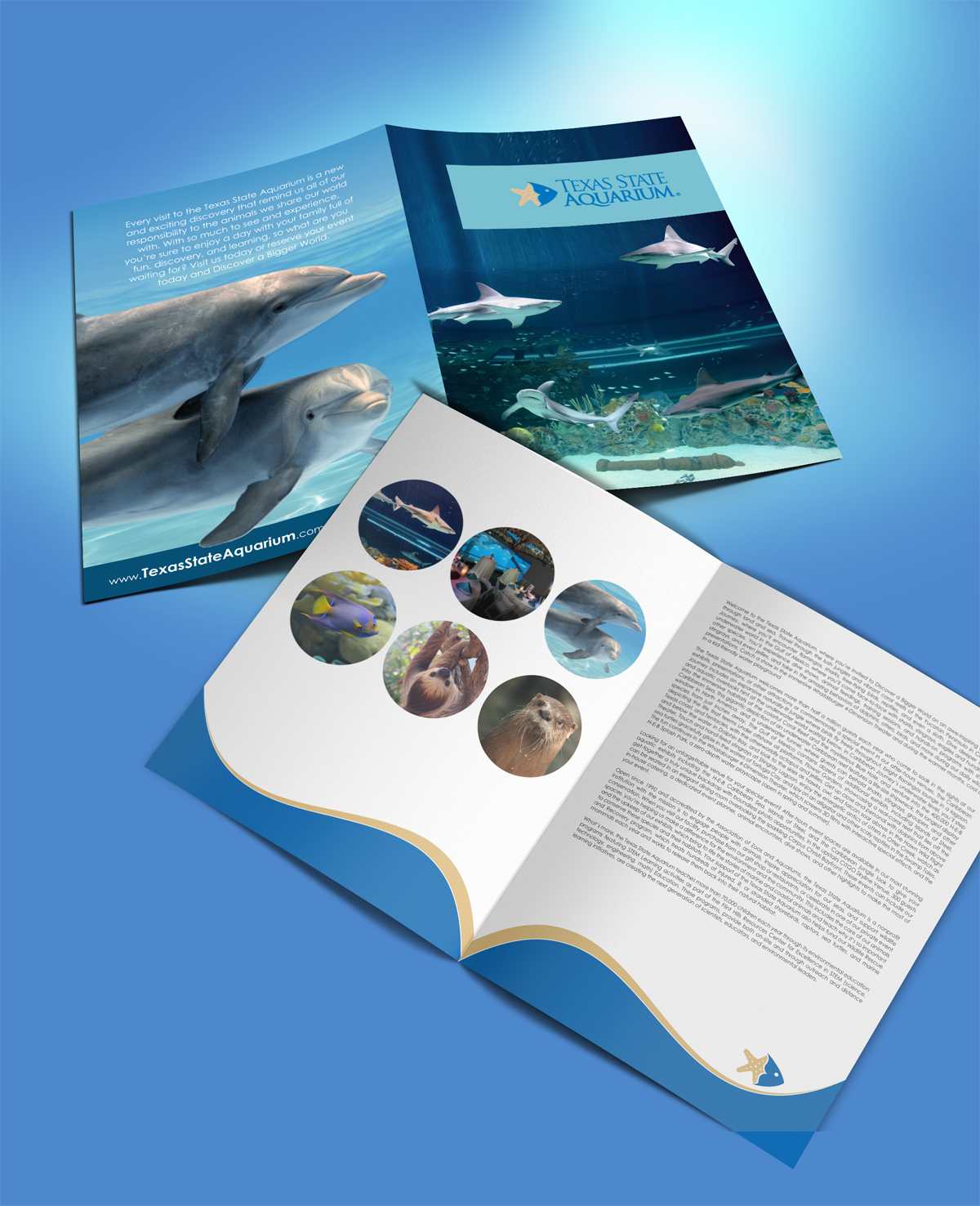 Stationery Design by chandrayaan.creative for this project | Design #17175524