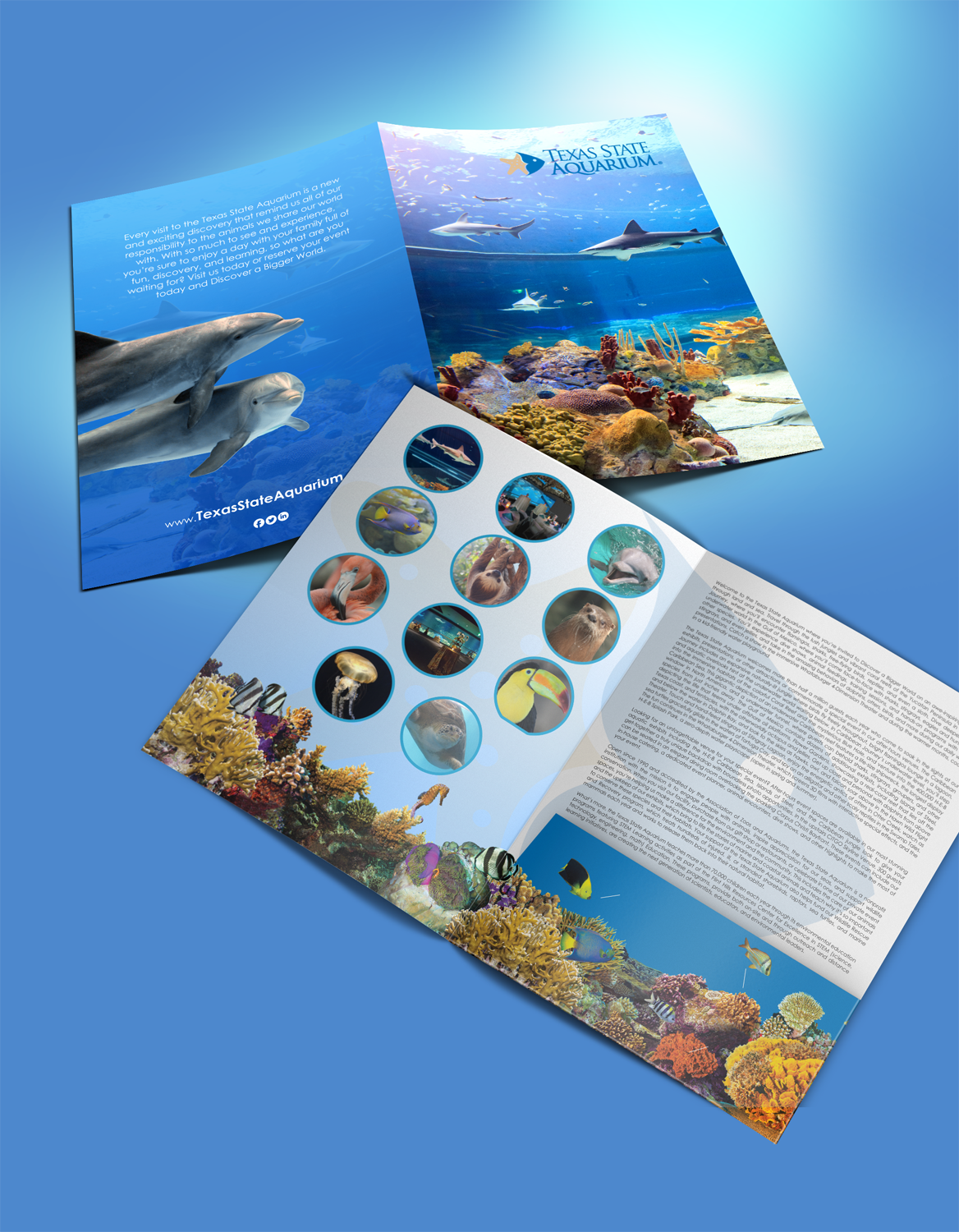 Design de Papeterie par chandrayaan.creative pour ce projet | Design #17206566