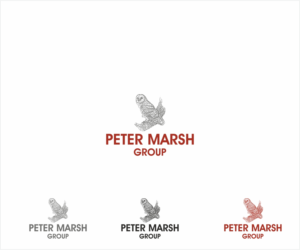 Peter Marsh Group | Logo Design by Logocraft
