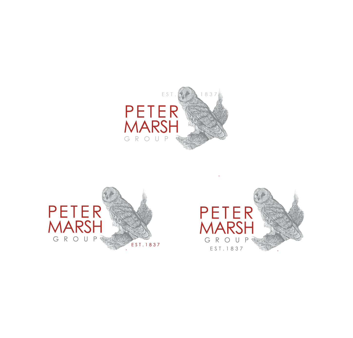 Logo Design by Ves-Boycheva for Peter Marsh Group | Design #17500241