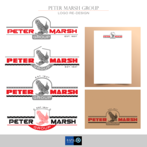 Logo Design by Halo Studios