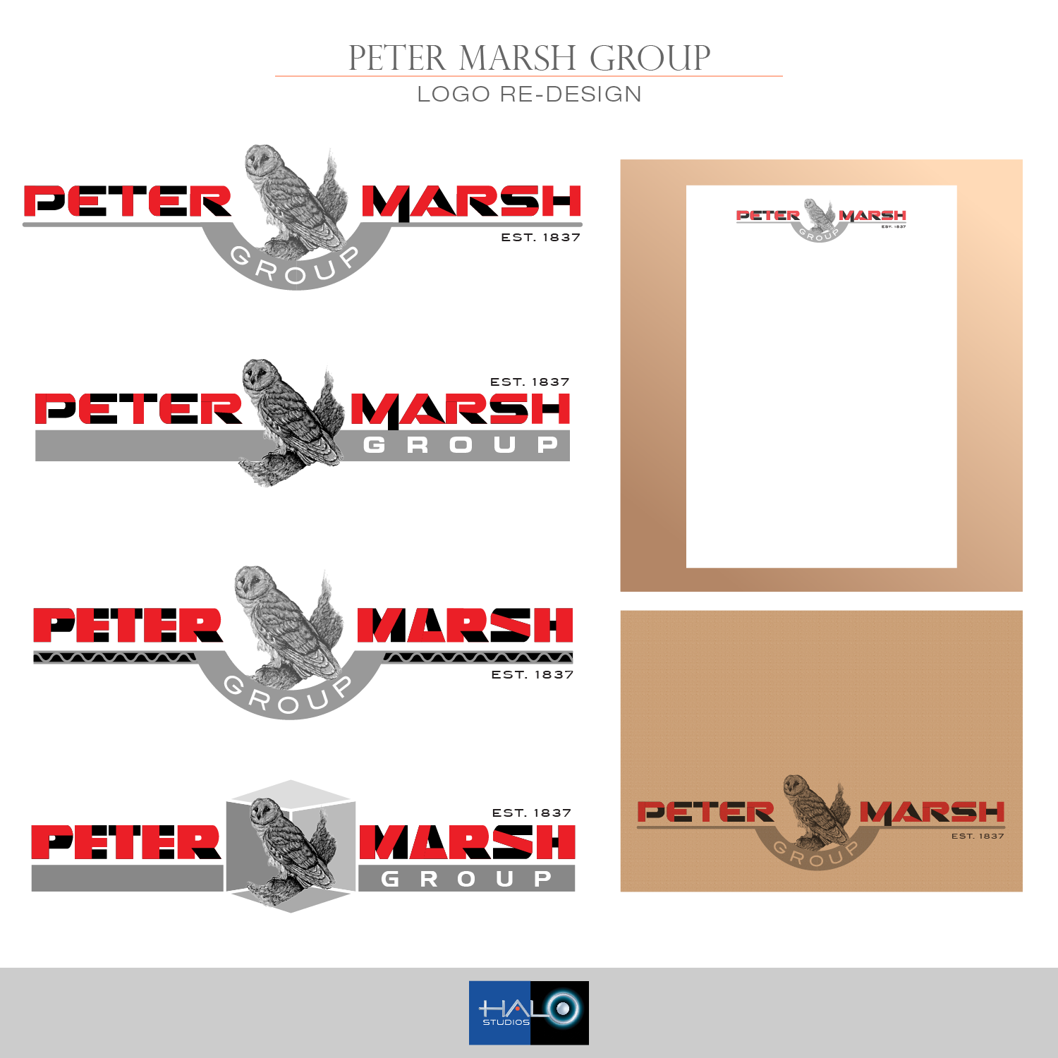 Logo Design by Halo Studios for Peter Marsh Group | Design #17520690