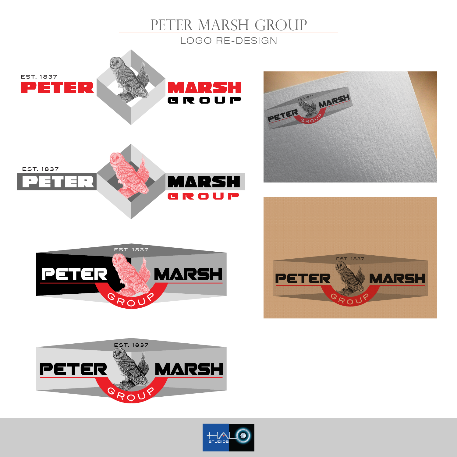 Logo Design by Halo Studios for Peter Marsh Group | Design #17522840