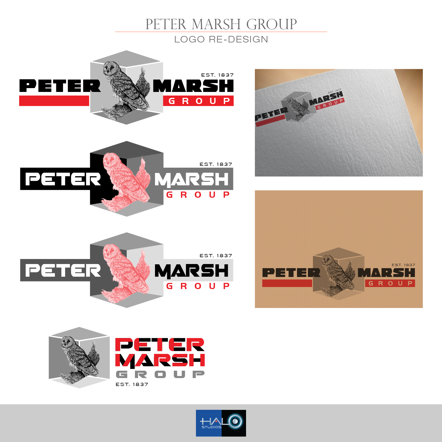 Logo Design by Halo Studios for Peter Marsh Group | Design #17522841