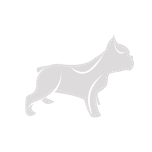 Logo Design by chynthiadewi91 for this project | Design: #17617159