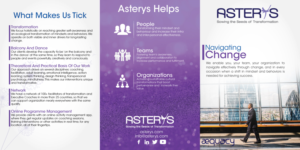 Graphic Design by Black Stallions Impressive Solutions for Asterys | Design #17240137