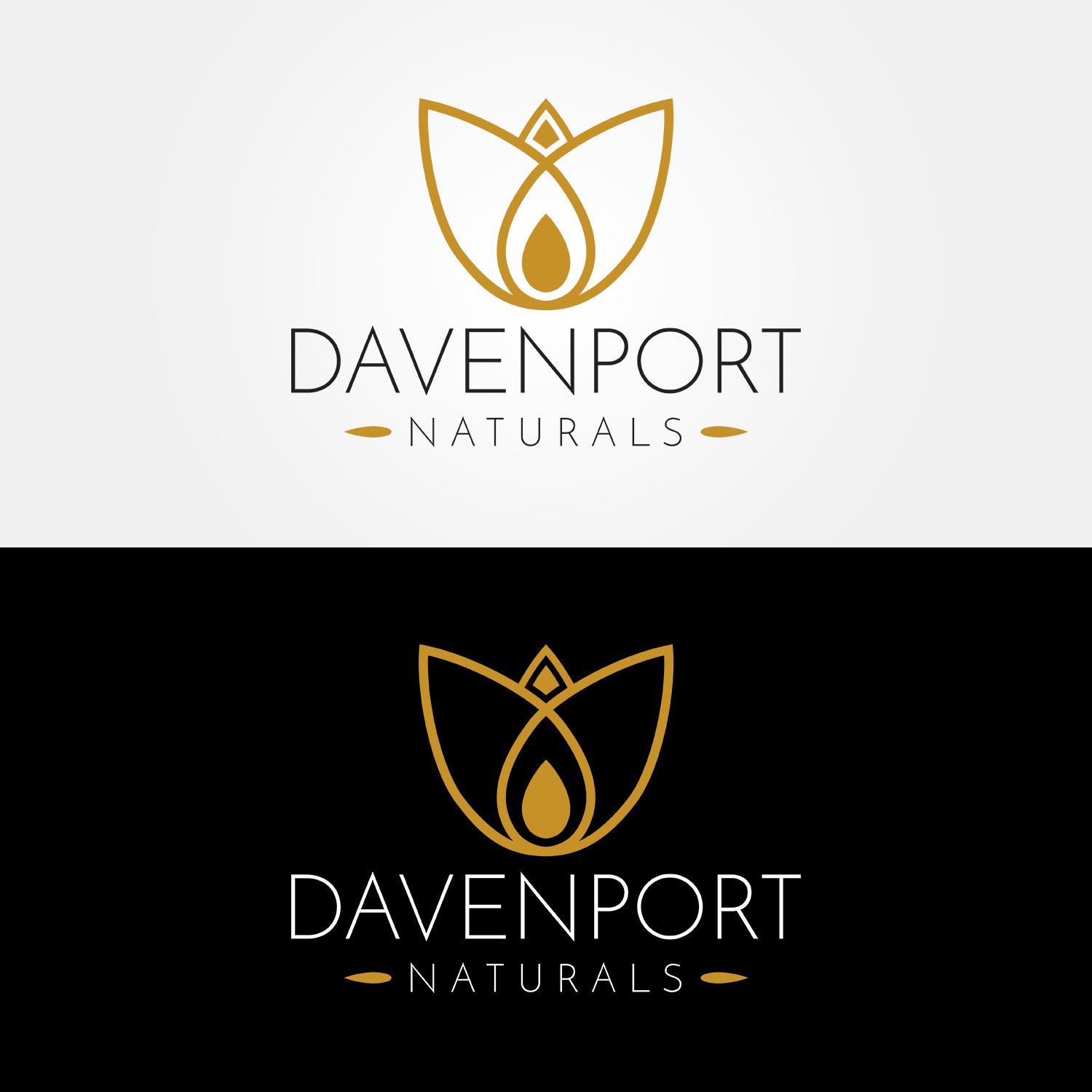 Design de Logo par GRAFFYC pour Davenport Naturals | Design #17269056