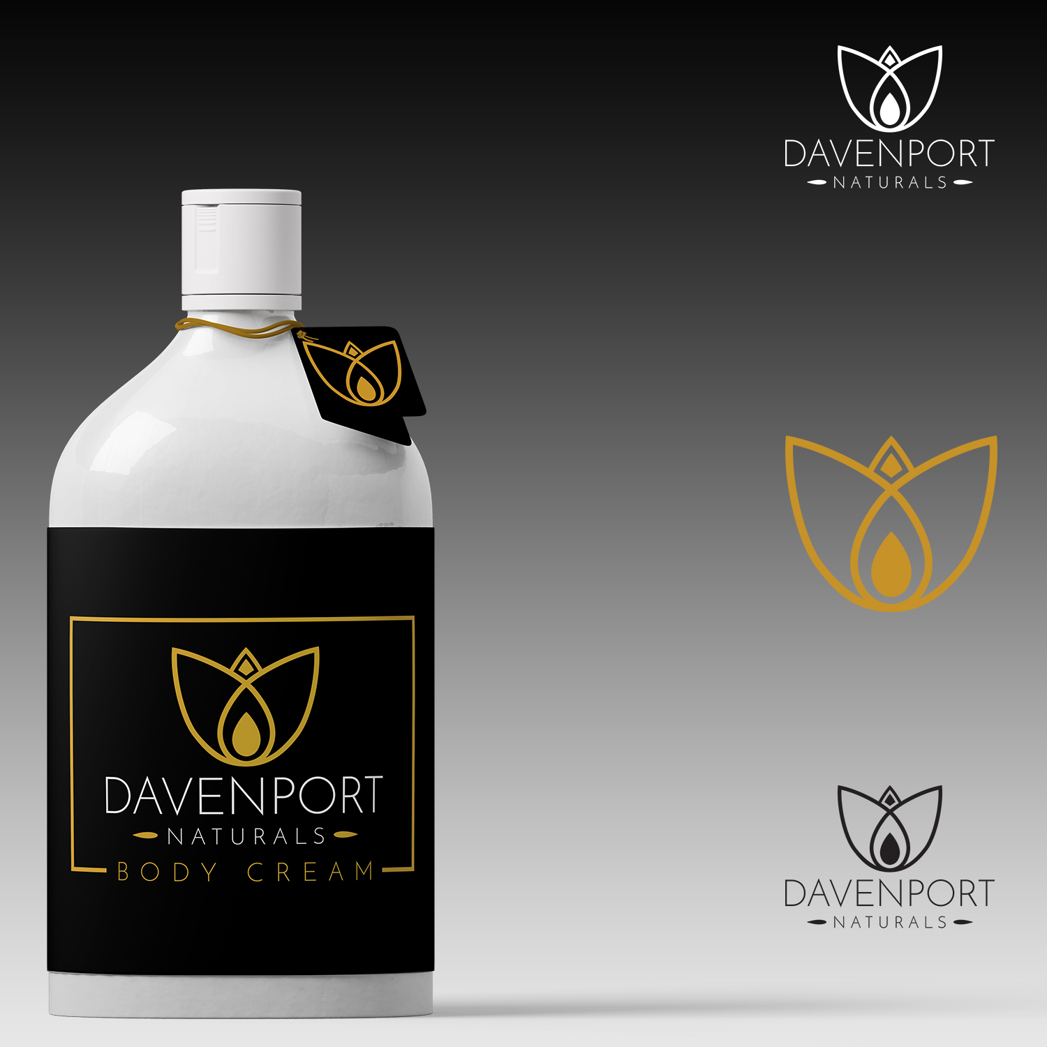 Design de Logo par GRAFFYC pour Davenport Naturals | Design #17269058