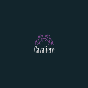 Logo Design by Achraf Hamza