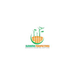 Design de Logo par Idwan Design pour Elevated Perspectives | Design : #17206466