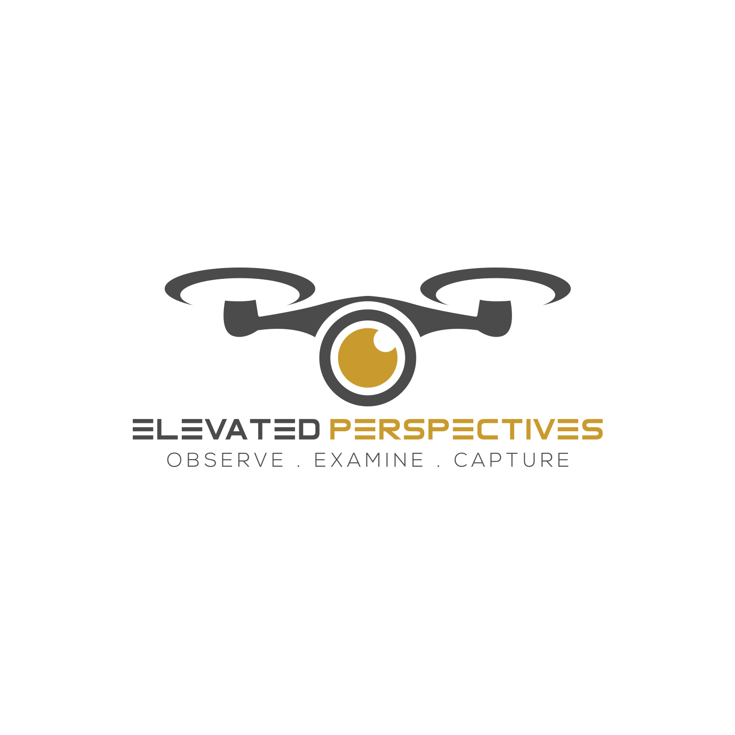 Diseño de Logo por BRAT Studio para Elevated Perspectives | Diseño #17213668