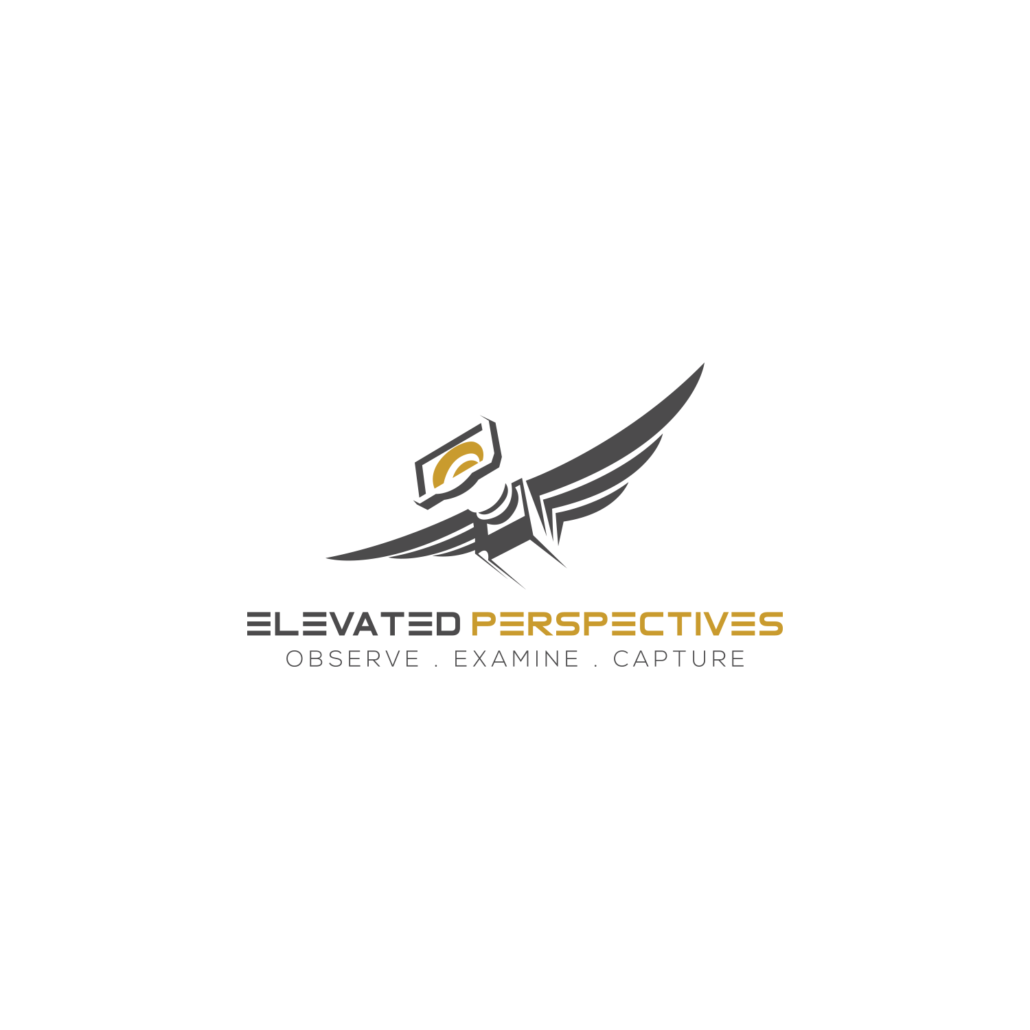 Diseño de Logo por BRAT Studio para Elevated Perspectives | Diseño #17213690
