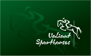 Design de Logo par inspirodesign pour Valiant Sporthorses | Design : #17419402