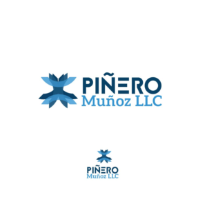 Logo Design by boesstom