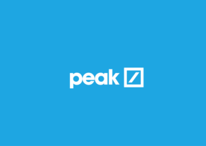 Logo Design by Belove