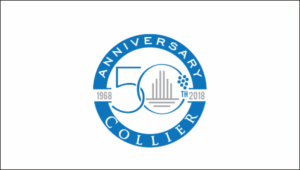 Logo Design by ciolena for this project | Design: #17306858