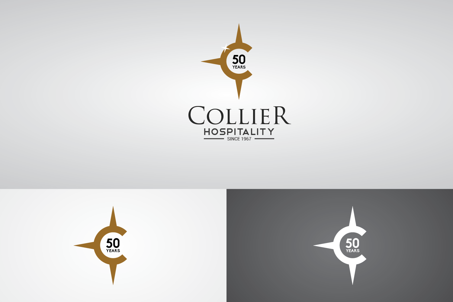 Logo Design by Vikram.Rajashekar for this project | Design #17253372