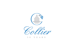 Logo Design by Belove