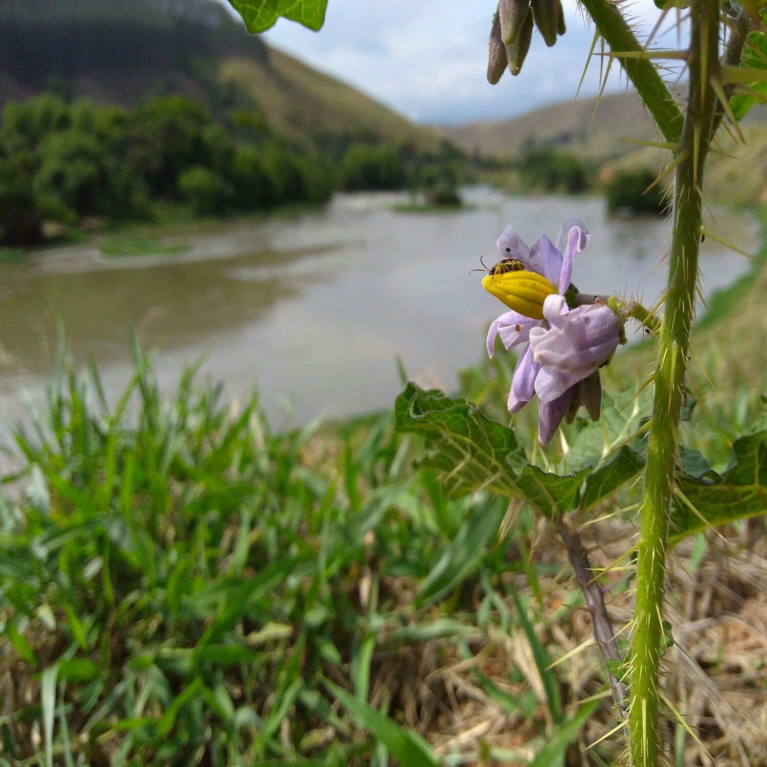 Photography by Mobile Design for DesignCrowd (Community Contests) | Design #17304308