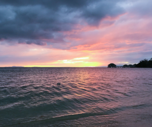 Photography by Sarahpotato