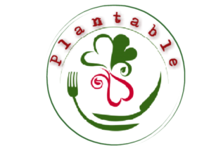 Logo Design by Rasel