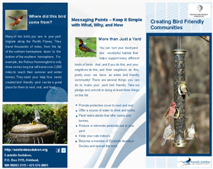 Brochure Design by prashant23