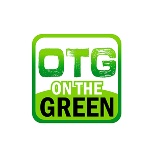 Logo Design by moenib