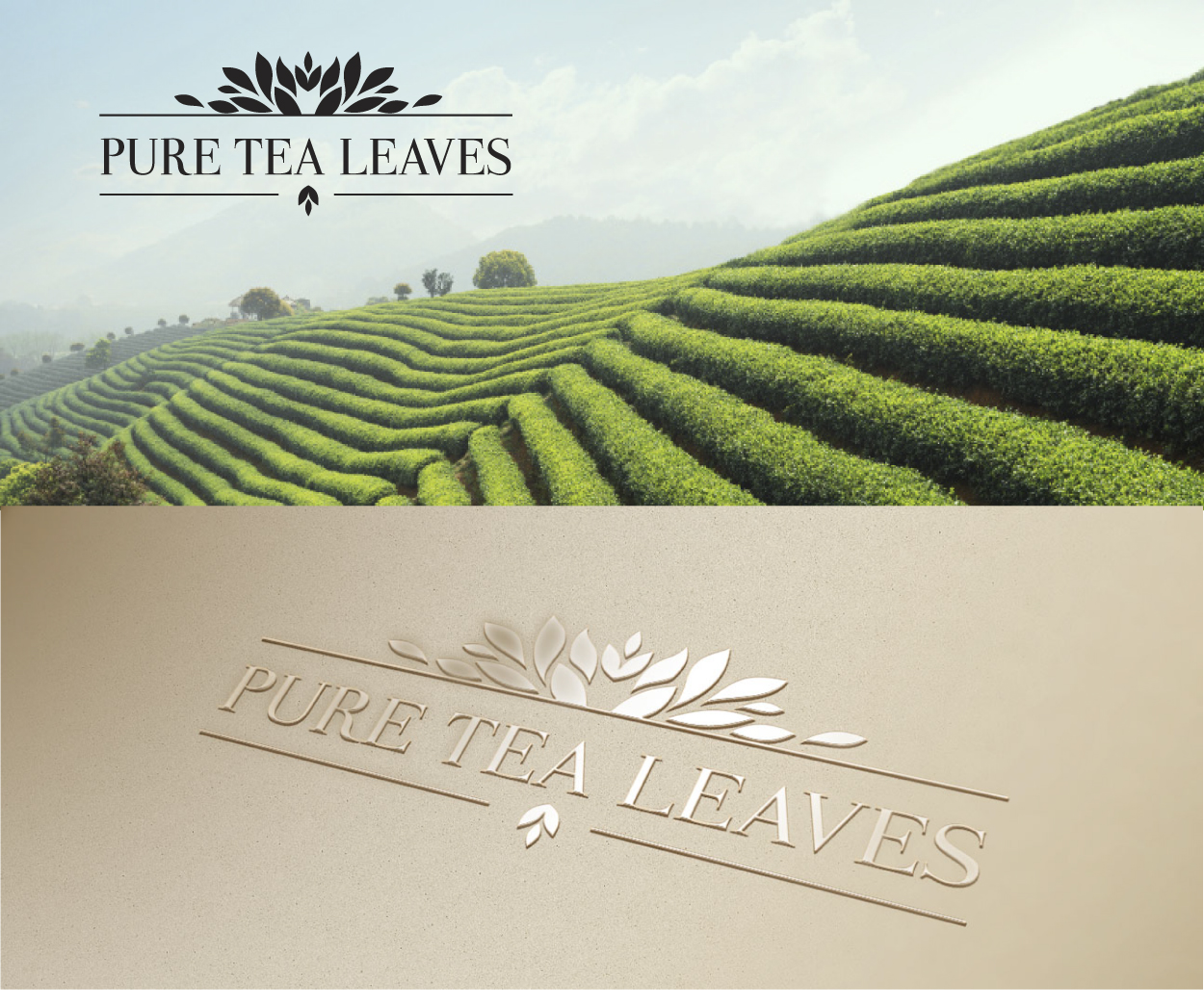 Diseño de Logo por ALCD para PRIMUS INTERTEA TRADE DMCC | Diseño #17239381