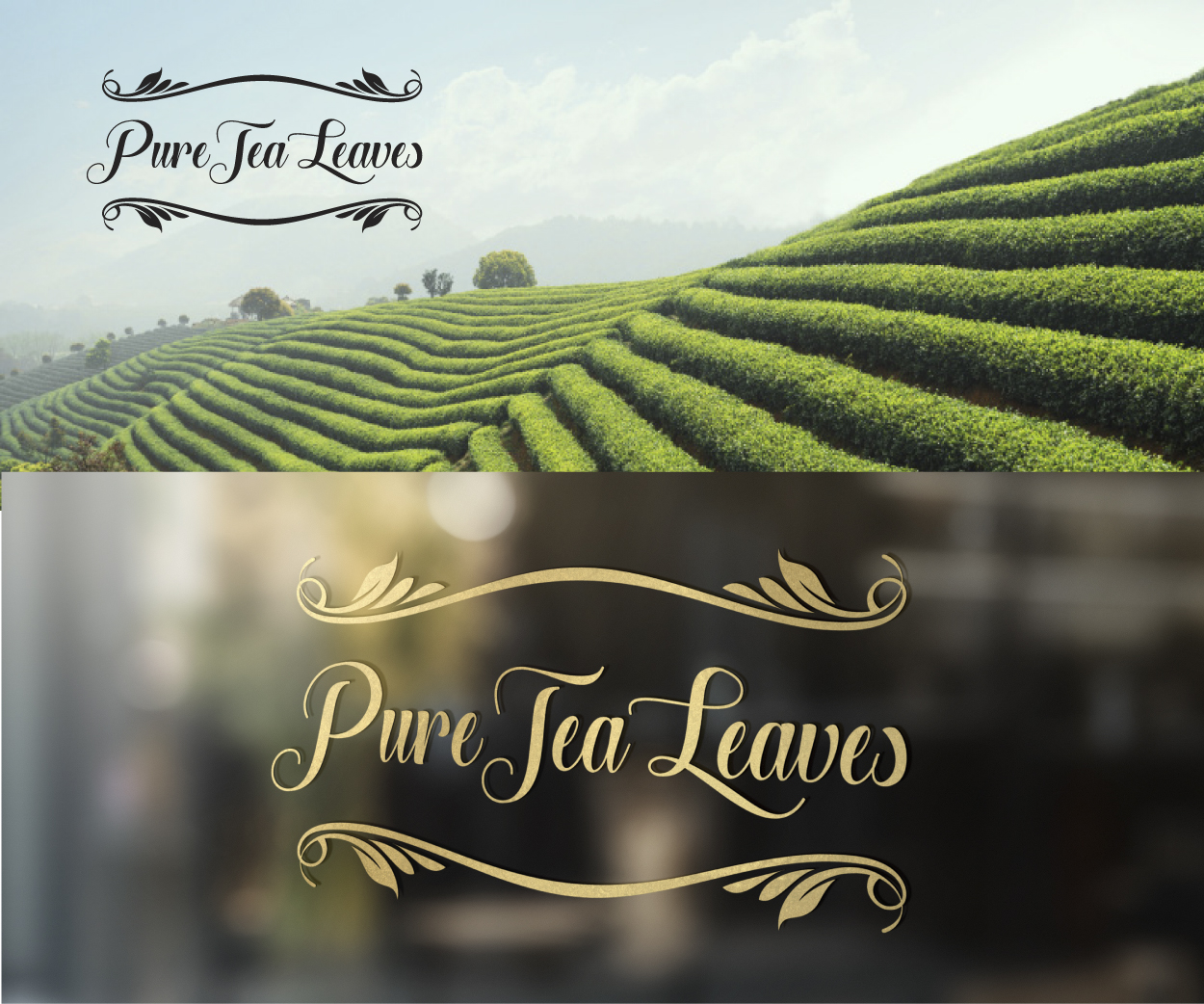 Diseño de Logo por ALCD para PRIMUS INTERTEA TRADE DMCC | Diseño #17239390