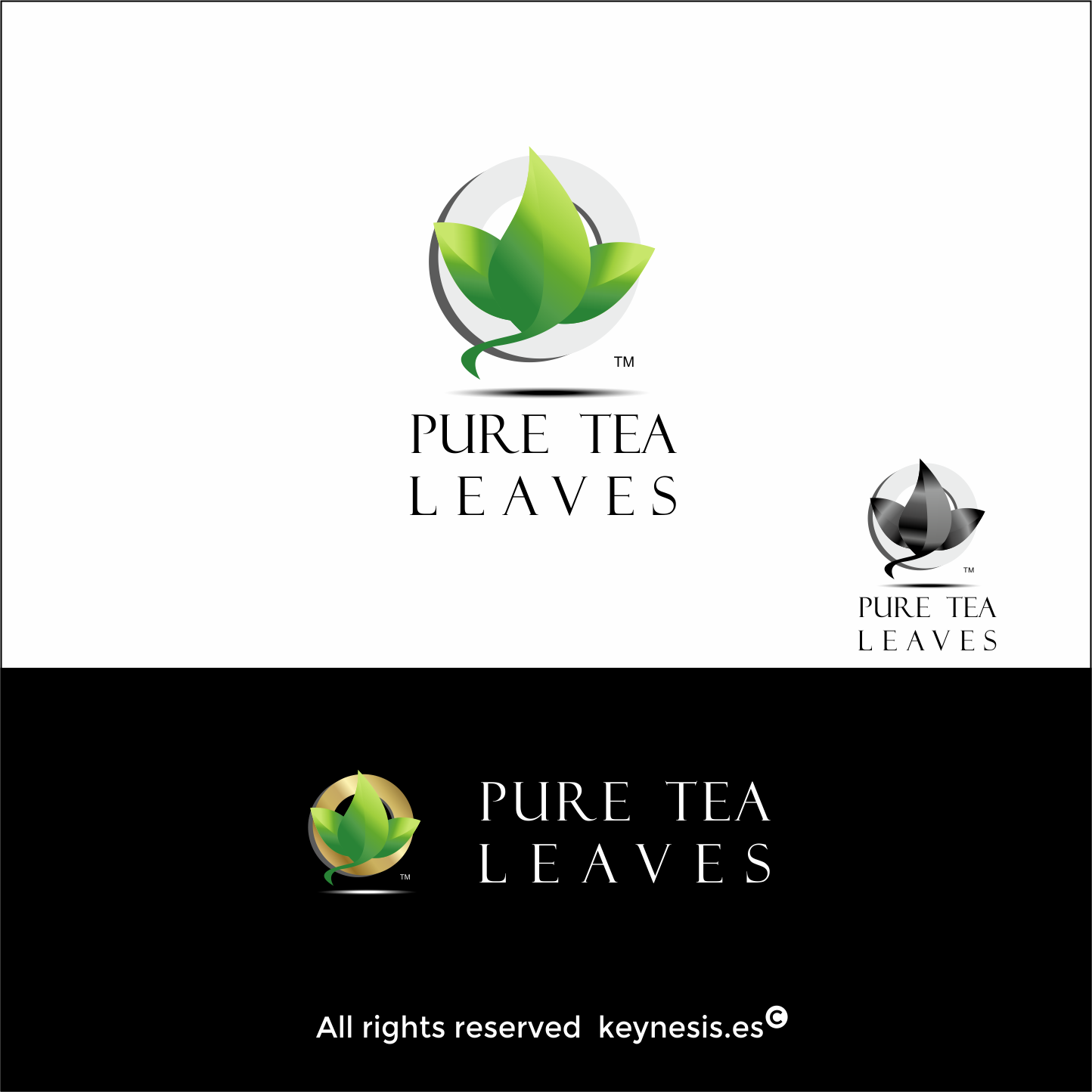 Design de Logo par keynesis pour PRIMUS INTERTEA TRADE DMCC | Design #17254388
