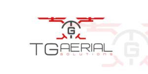 Design de Logo par Kamran_Here pour The Brand Agency LLC | Design : #17301030