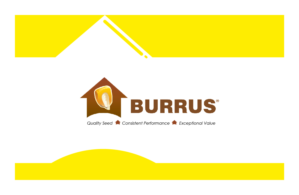 Business Card Design by Sifulan Design for Burrus Seed | Design: #17322267