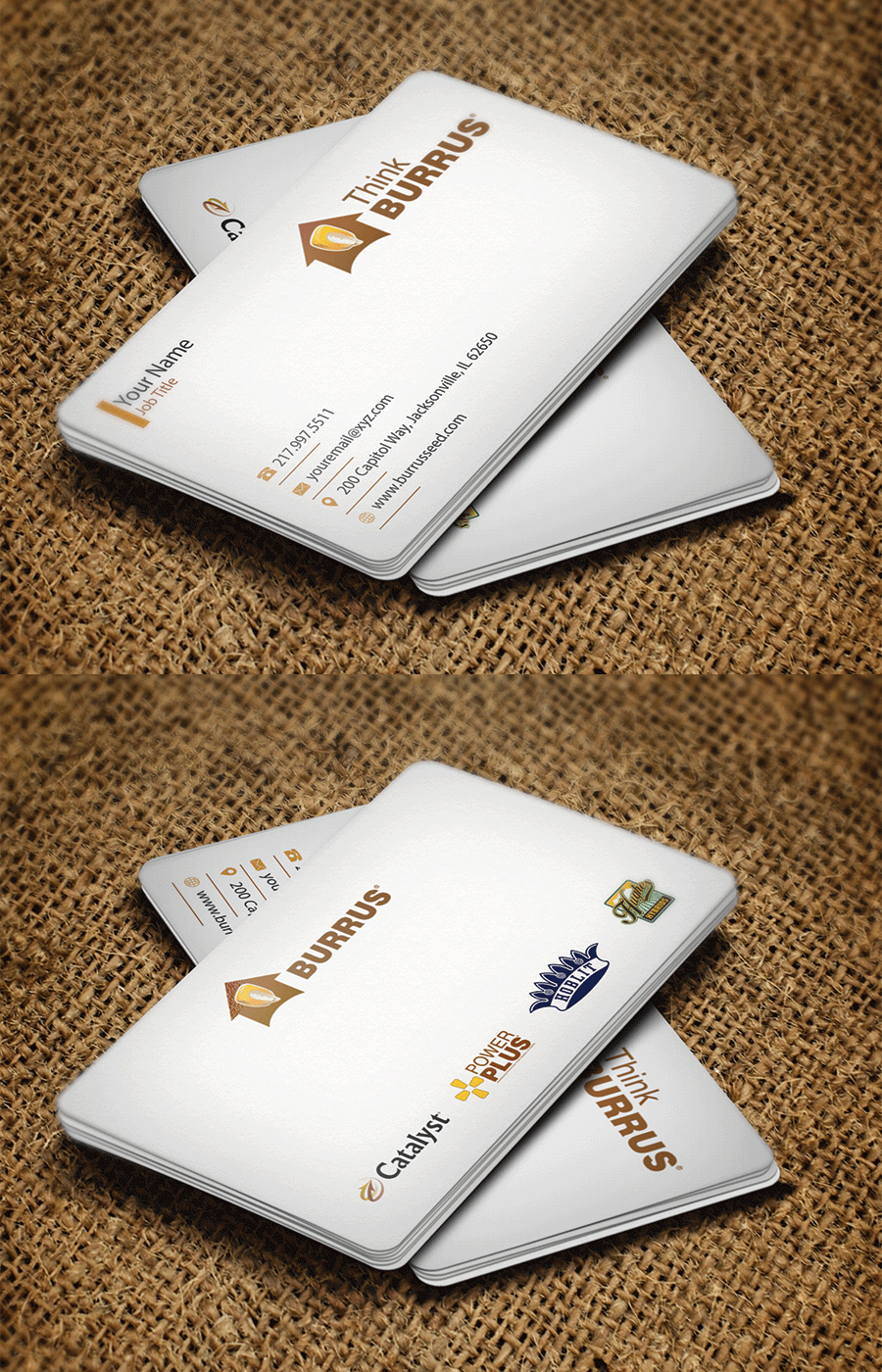 Business Card Design by Riz' for Burrus Seed | Design #17362198