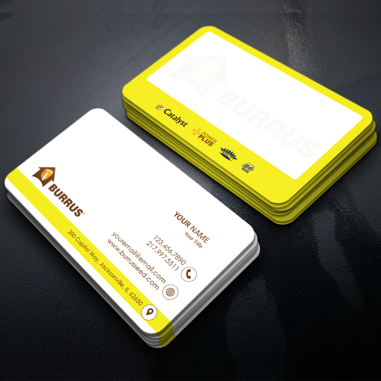 Business Card Design by KreativeDesk for Burrus Seed | Design #17418336