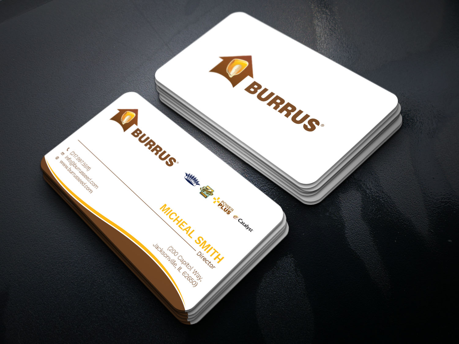 Business Card Design by Tripti Ranjan Gain for Burrus Seed | Design #17282201