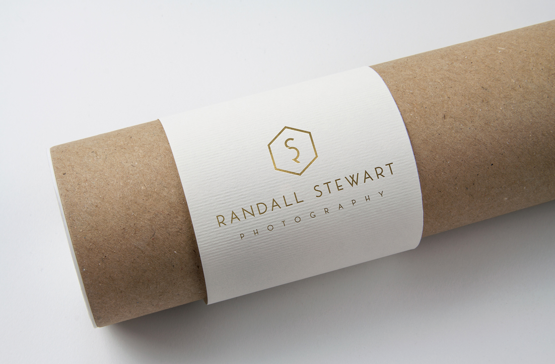 Diseño de Logo por GLDesigns para Randall Stewart | Diseño #17288306