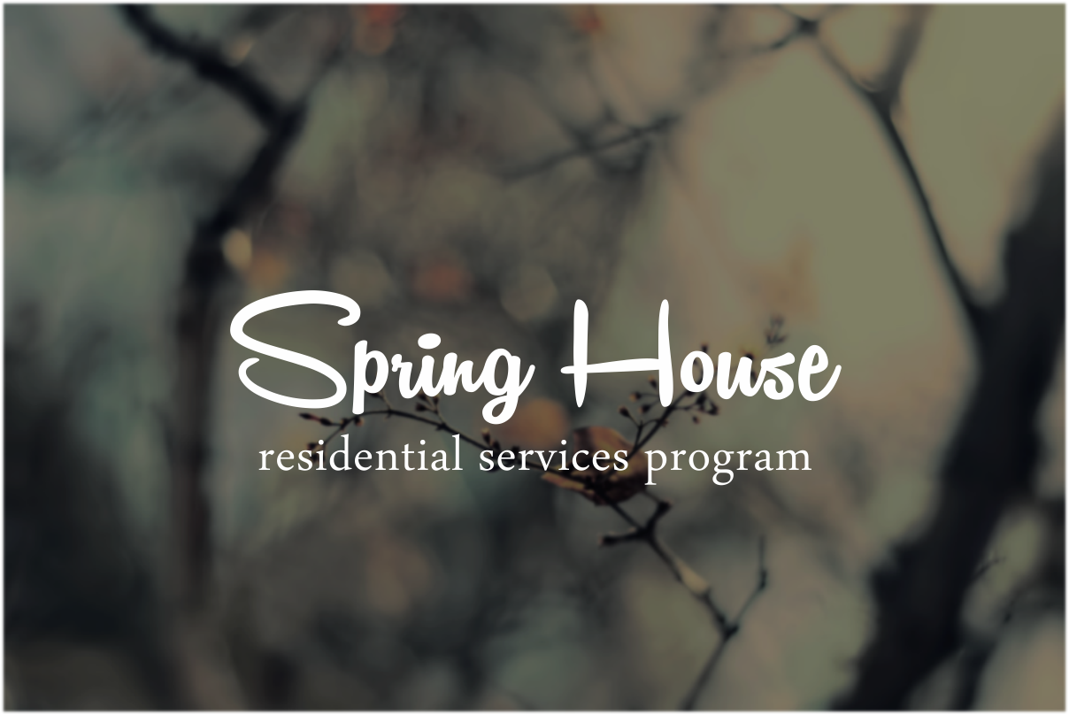 Logo Design by Silverfox Studio for this project | Design #2754856