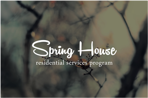 Logo Design by Silverfox Studio for this project | Design: #2754856