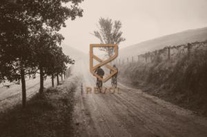 Logo Design by Petar Randjelovic for REVOL | Design: #17315693