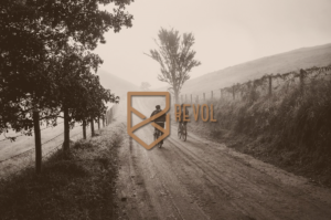 Logo Design by Petar Randjelovic for REVOL | Design: #17315694