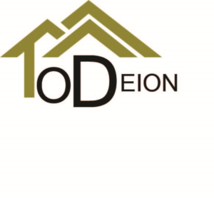Logo Design by Dhanish