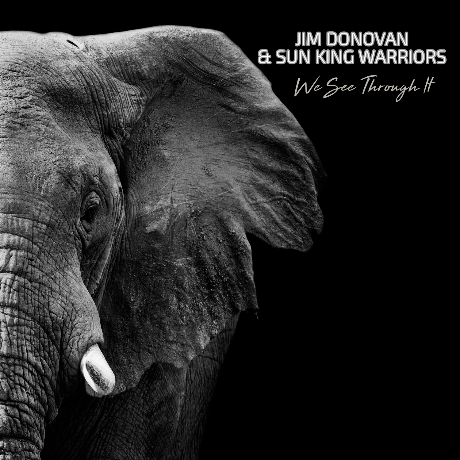 Design de Pochette de CD par VARVARA11 pour Yoga Om Essentials DBA Jim Donovan Music | Design #17294581