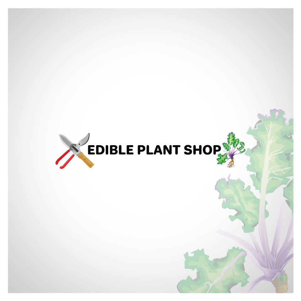 Logo Design by art.zinnia2000 for this project | Design: #17284299