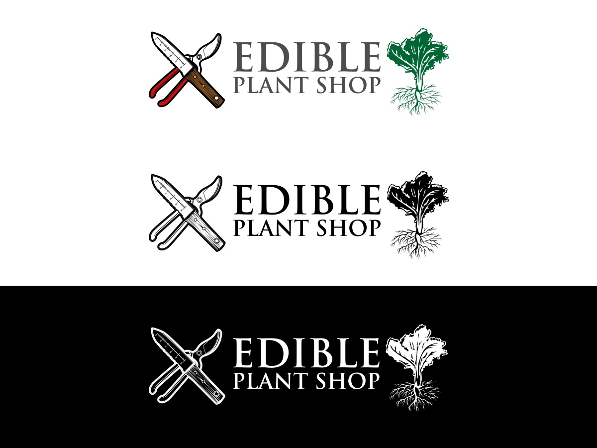 Logo Design by Slant Line Media for this project | Design #17286789