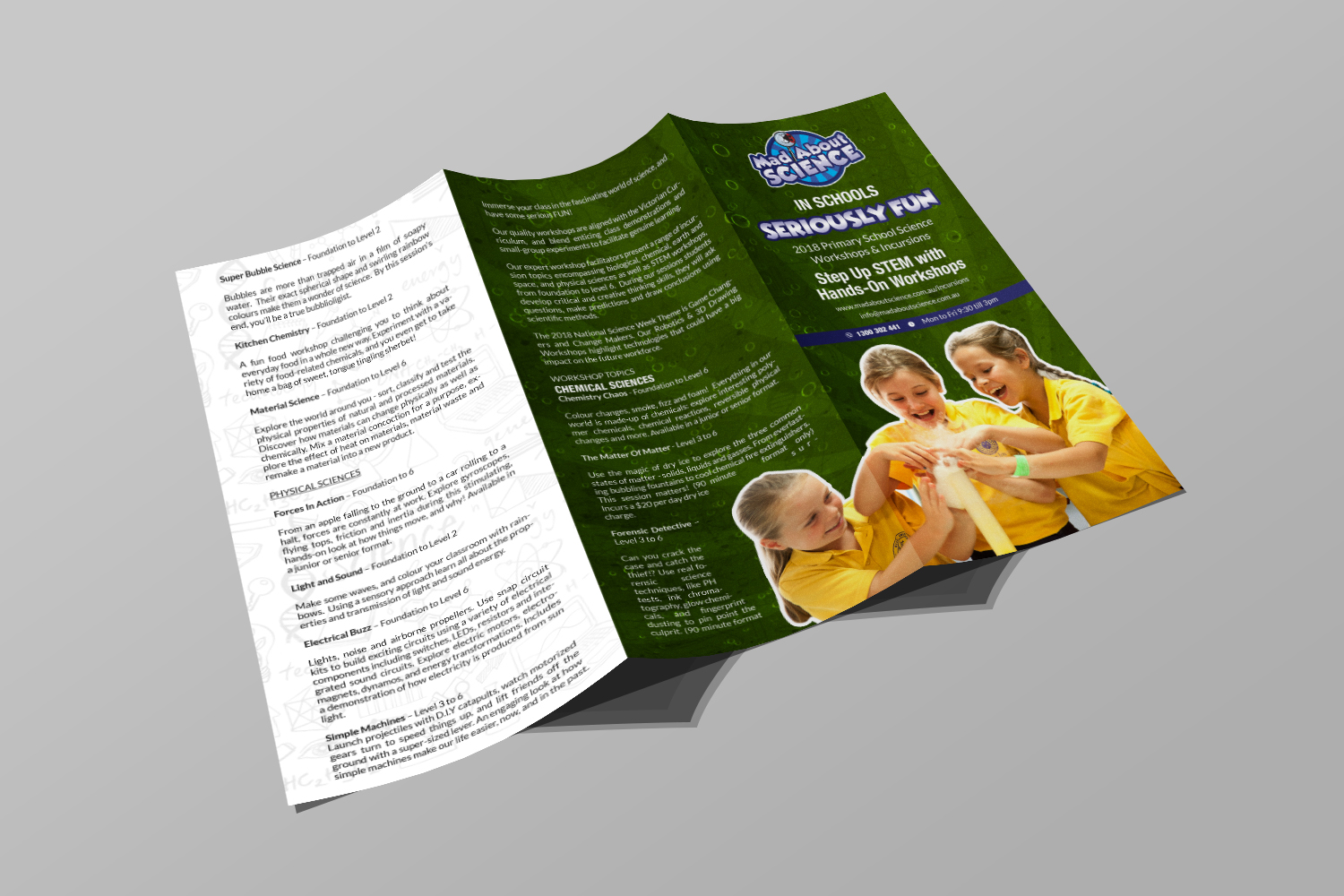 Diseño de Flyer por debdesign para este proyecto | Diseño #17303988