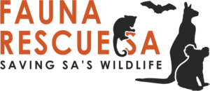 Logo Design by Ves-Boycheva for Marketing Hat | Design: #17462631